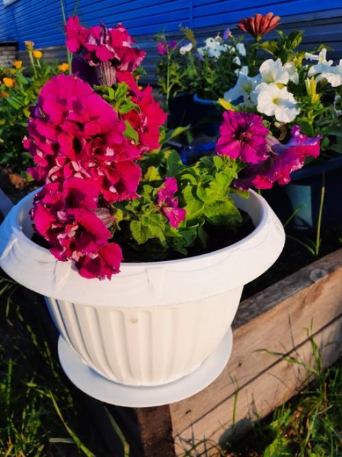 Можно поразить человека, подарив ему шикарный букет, но впечатления останутся ненадолго. 06