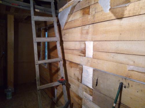 Давно не выпускался так полюбившийся читателям альманах про VolkiWillaдж. 01