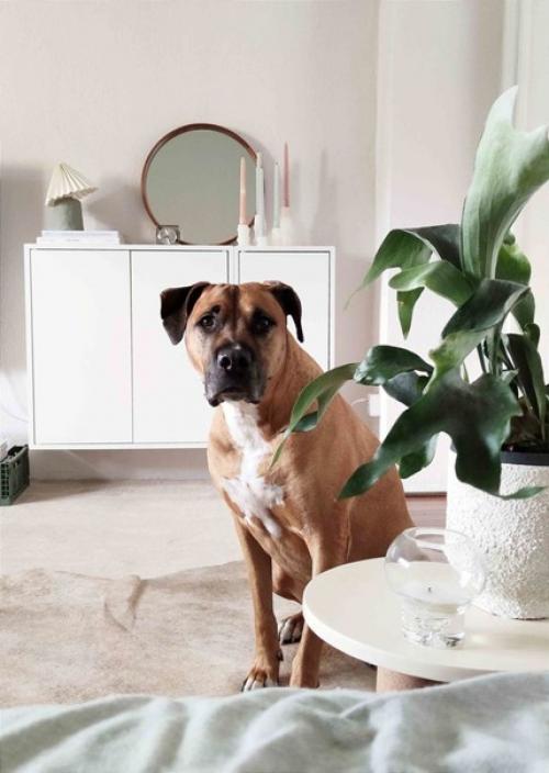 Скандинавский дизайн интерьера в красивых и светлых оттенках. 01