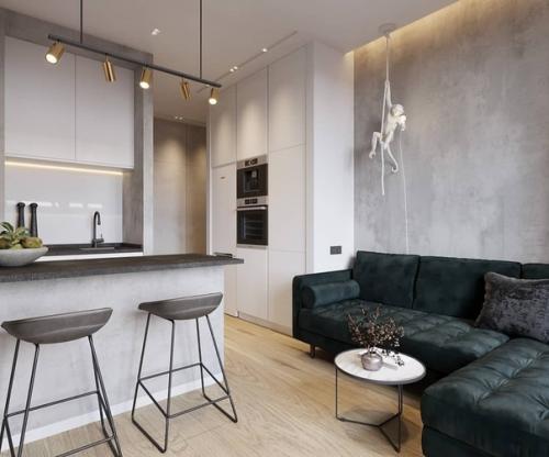 Дизайн - проект кухни - гостиной 15 кв. 03