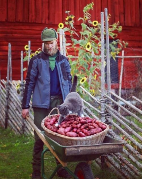 Уютная сельская жизнь на ферме рукодельницы в Швеции. 09