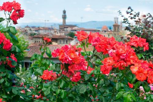 7 неочевидных достопримечательностей Флоренции? 04