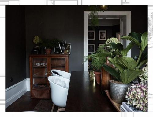 Темный цвет стены. 02