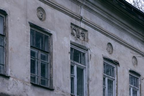 Усадьбе коковцевых.  Пациент скорее жив. 04