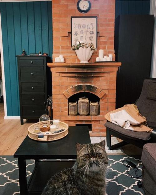 Уютный дом с яркими цветовыми акцентами Сони Persitskaya. 07