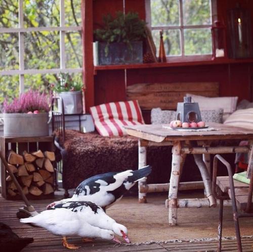 Уютная сельская жизнь на ферме рукодельницы в Швеции. 06