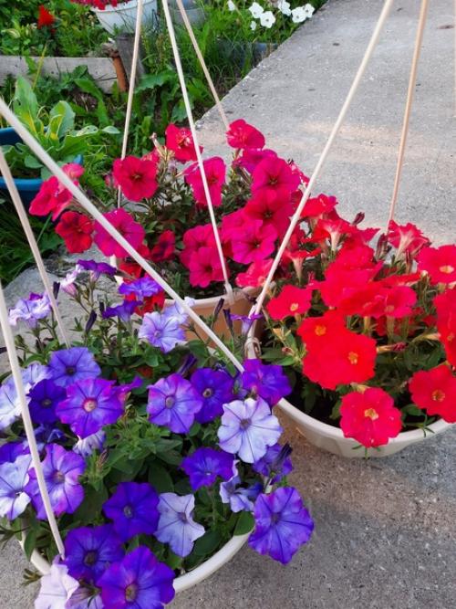 Можно поразить человека, подарив ему шикарный букет, но впечатления останутся ненадолго. 02