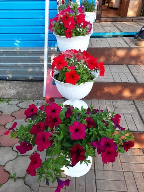 Можно поразить человека, подарив ему шикарный букет, но впечатления останутся ненадолго. 03