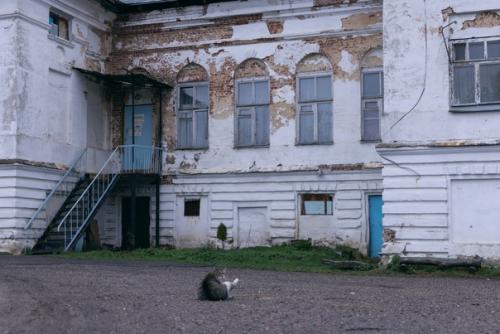 Усадьбе коковцевых.  Пациент скорее жив. 02