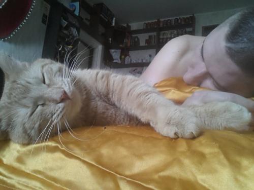 Репост на свою страницу? 07