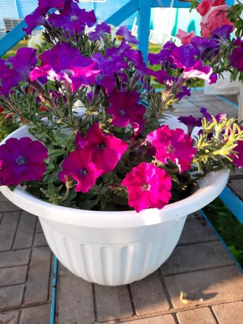 Можно поразить человека, подарив ему шикарный букет, но впечатления останутся ненадолго. 04