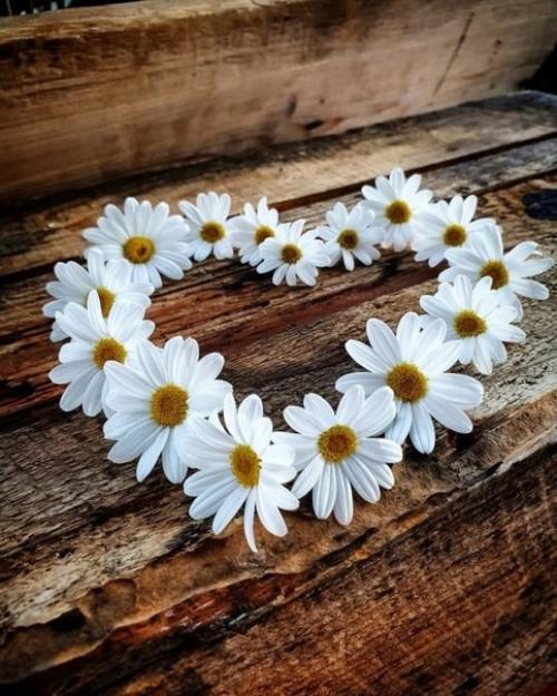 Еще немного ромашек - символа чистоты, любви и семьи в моих вышивках! 04