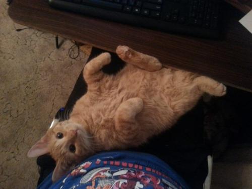 Репост на свою страницу? 06