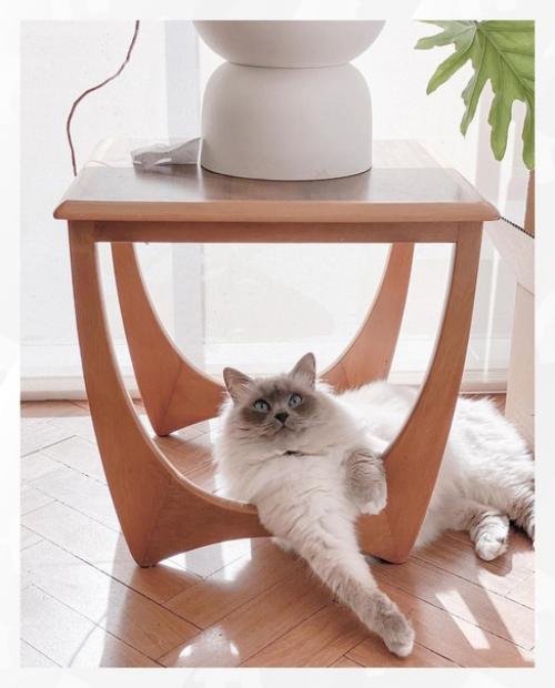 Добрая Скандинавия!  В своей первой книге Шведские Интерьеры элейш и ван бримс рассказывают о 27 различных элементах скандинавского дизайна. 01