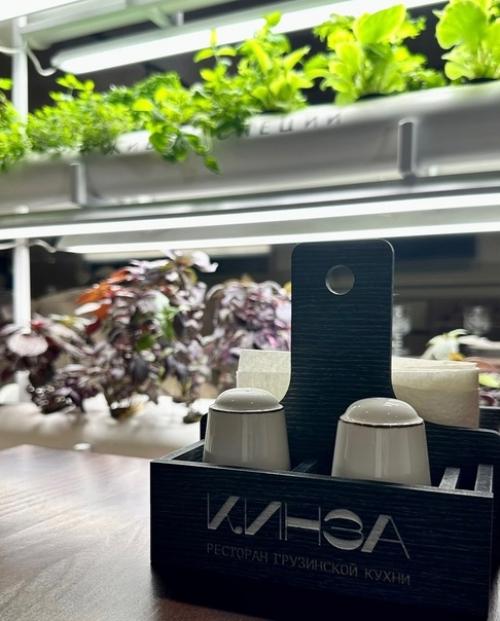 Почему Кинза?   Наверняка вы этим вопросом задавались. 02