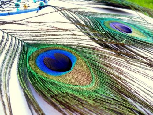 Здравствуйте, админ!  Спасибо за публикацию. 01