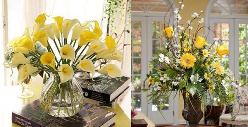 11 советов васту и фэн-шуй для улучшения здоровья.