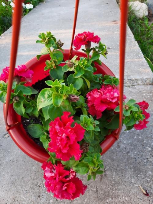 Можно поразить человека, подарив ему шикарный букет, но впечатления останутся ненадолго. 08