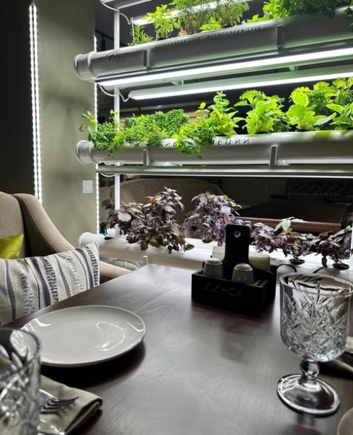 Почему Кинза?   Наверняка вы этим вопросом задавались. 01