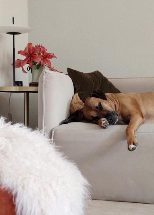 Скандинавский дизайн интерьера в красивых и светлых оттенках. 03