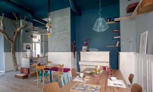 Кошачье кафе в Италии. 01