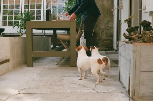 Влюбленная в Camellas - Lloret. 09