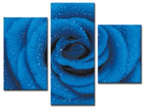 Еще 2-3 брони и выкуп. 03