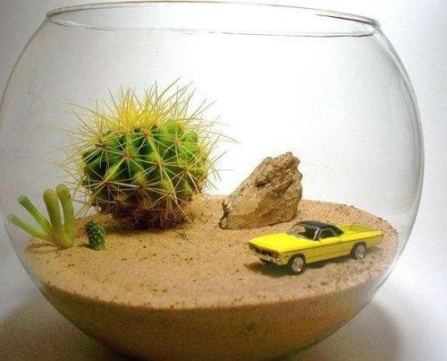 Идеи@Cvetochniyvodopad. Волшебный сад за стеклом - флорариум своими руками? 06