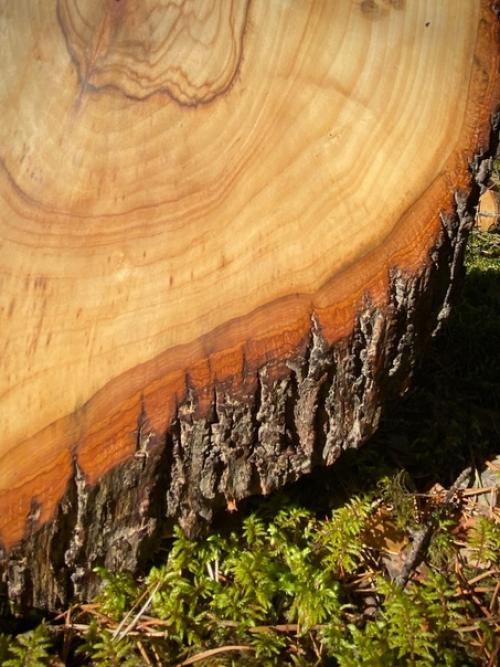 Как и обещала, в Lipinwood появилась линейка экопосуды в Рустик стиле делюсь нашими новинками! 01