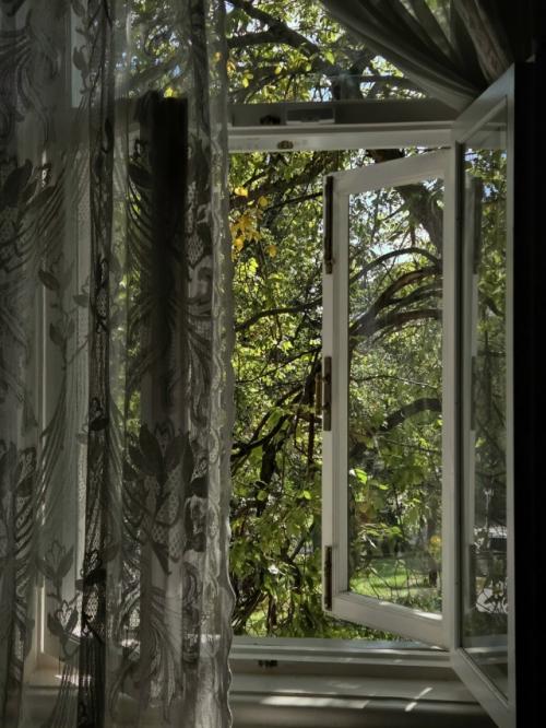 Город горький.  Музей - квартира а. М. Пешкова (Максима горького. 04