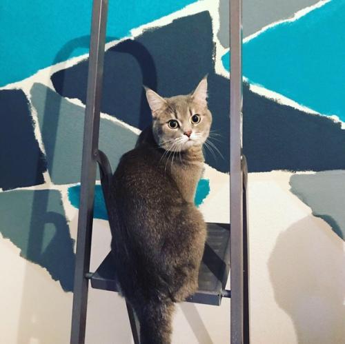 Ремонт на кухне 10 кв. 06