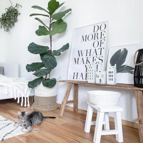 Лишь в том случае, если вы хотите придать характер своему интерьеру, хорошо бы найти что-то, что будет бросаться в глаза. 05