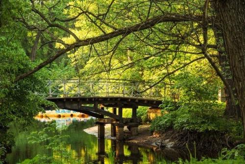 Елагин остров: все самое интересное. 07