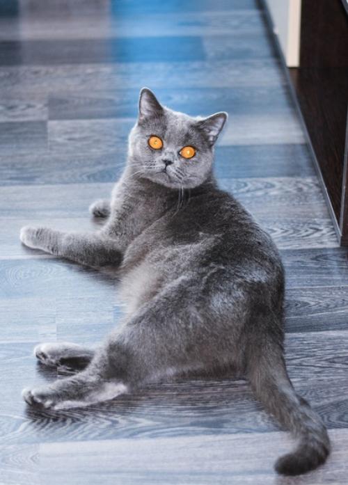 Господа присяжные заседатели! 02