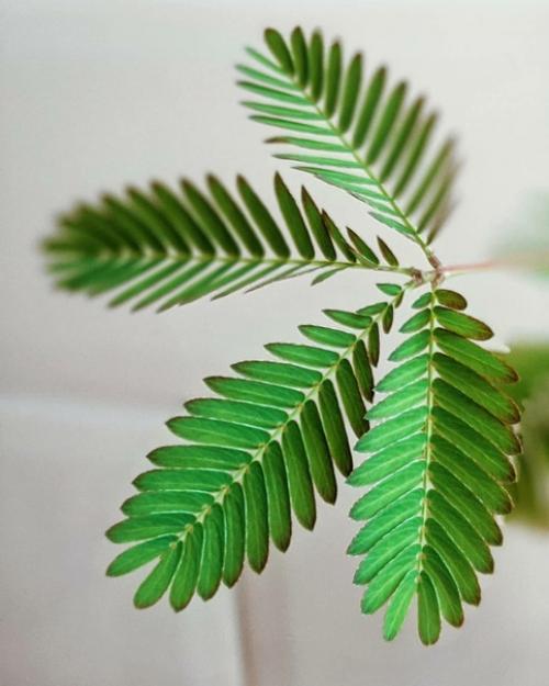 Не нравится интерьер дома, но нет средств на его переделку? 02