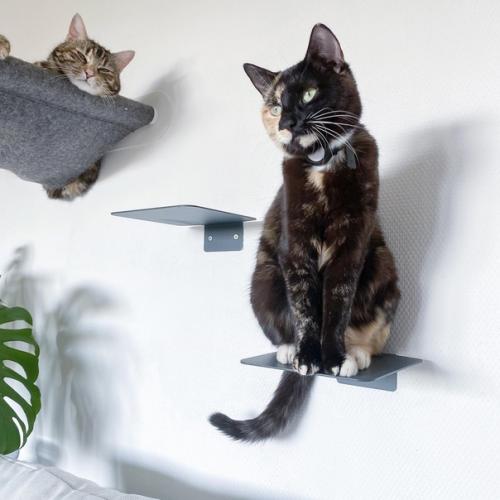 Лишь в том случае, если вы хотите придать характер своему интерьеру, хорошо бы найти что-то, что будет бросаться в глаза. 07