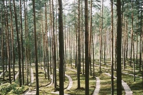 Что посмотреть и куда пойти в Риге? 06