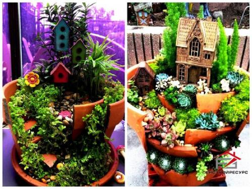 Сад в разбитом горшке своими руками. 02
