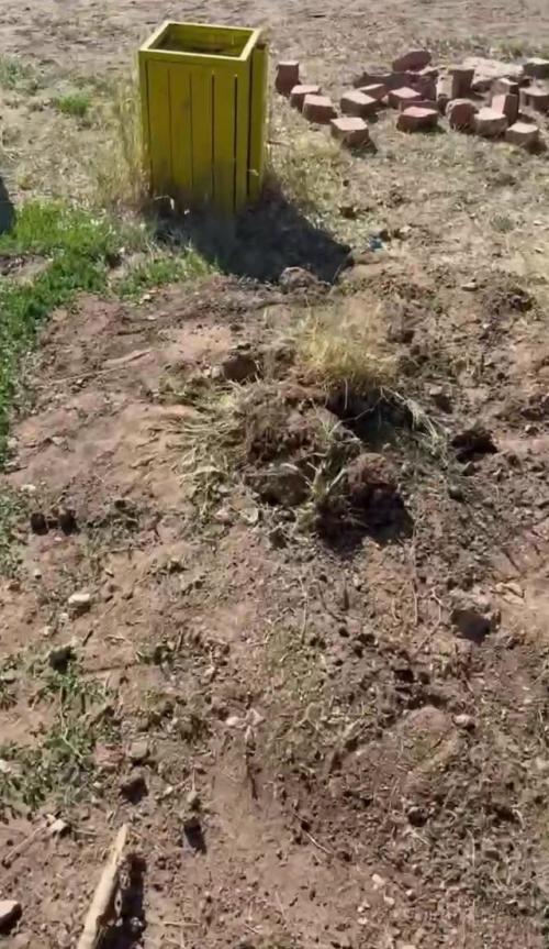 Бизнесмен за свои деньги построил в родном селе детскую площадку и установил уличные тренажёры. 04