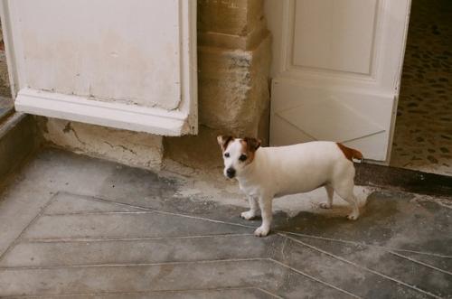 Влюбленная в Camellas - Lloret. 06