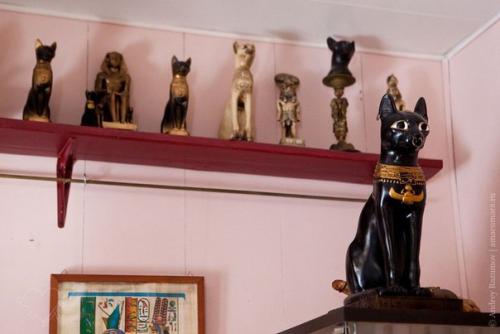 Загородная поездка: самые интересные музеи Всеволожска. 03 Загородная поездка: самые интересные музеи Всеволожска. 03