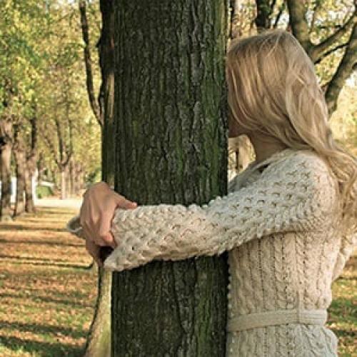 Дендротерапия.  Хвойная сила.