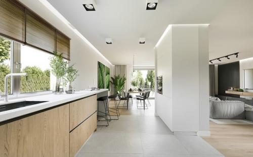 Эскизный проект одноэтажного загородного дома с мансардой. 07