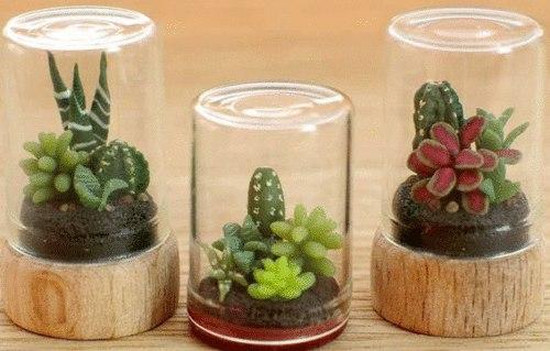 Идеи@Cvetochniyvodopad. Волшебный сад за стеклом - флорариум своими руками? 03