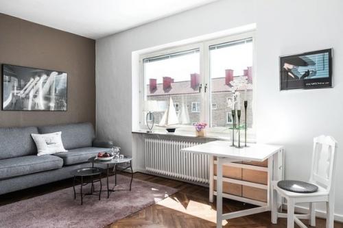 Крохотная шведская студия площадью 24 кв. 04