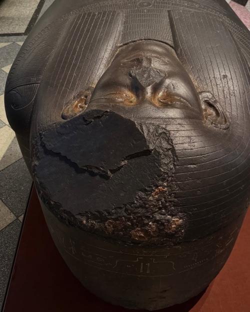 Хочу поучаствовать в проекте один музей. 08