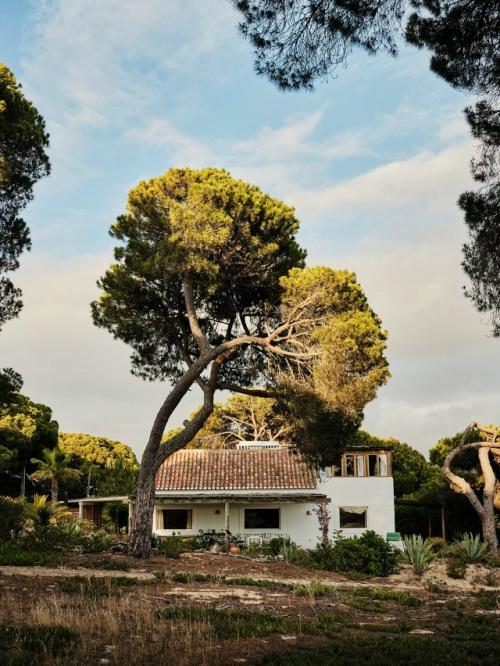 Дом с винтажным шармом в Португалии. 02