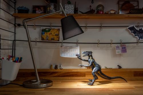 Всем привет!  В прошлом году купили маленькую трехкомнатную квартиру (56 кв. 06