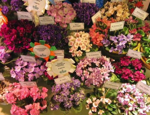 Планы на выходные: чем заняться 16-17 сентября. 06