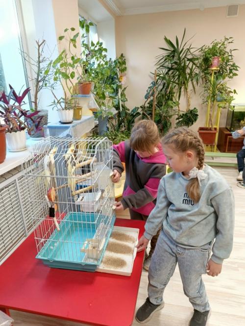 Парциальная программа Семья - это Мы. 01 Парциальная программа Семья - это Мы. 01